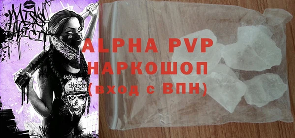 индика Волосово