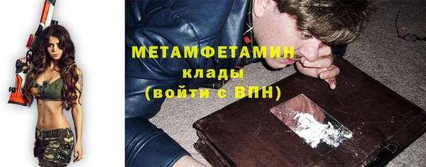 индика Волосово