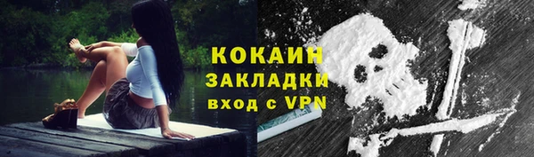 индика Волосово