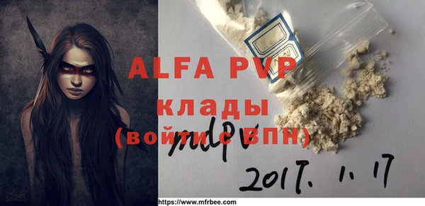 индика Волосово